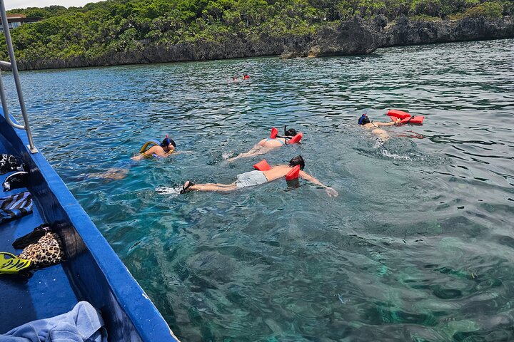 Roatan Jungle Top Zip Line, Wildlife Eco-Park and Snorkel