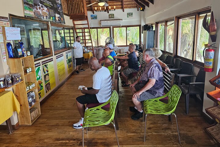 Roatan Jungle Top Zip Line, Wildlife Eco-Park and Snorkel