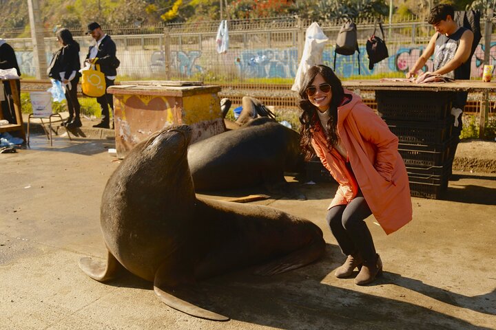 Valparaiso Port and Viña del Mar with Casablanca Wine Tasting
