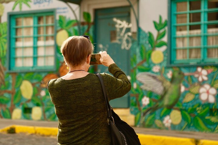 Valparaiso Port and Viña del Mar with Casablanca Wine Tasting