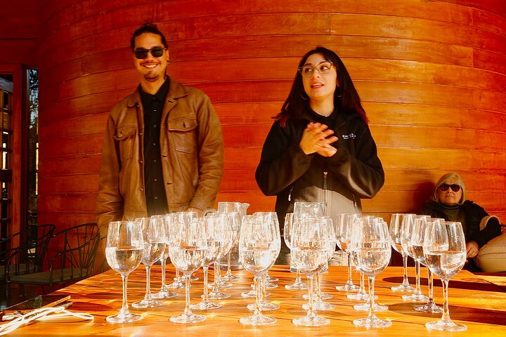 Valparaiso Port and Viña del Mar with Casablanca Wine Tasting