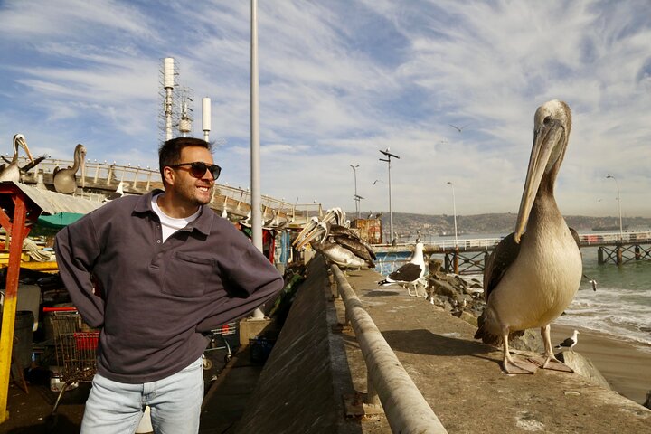 Valparaiso Port and Viña del Mar with Casablanca Wine Tasting