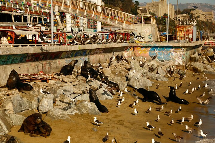 Valparaiso Port and Viña del Mar with Casablanca Wine Tasting