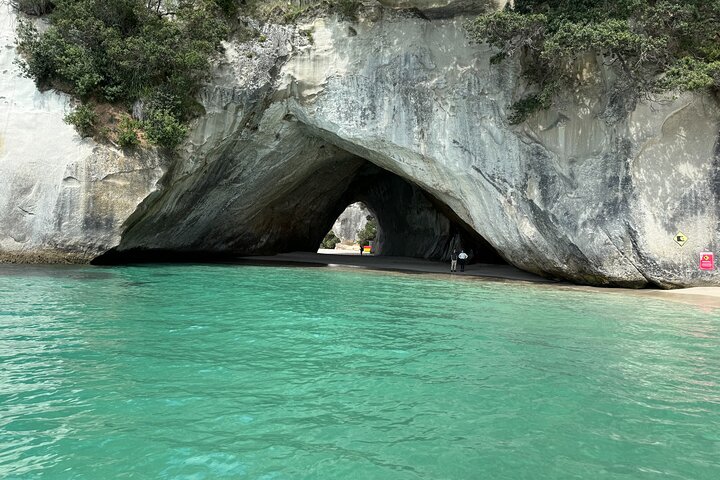 2 Days Private Tour in Coromandel Peninsula from Hamilton