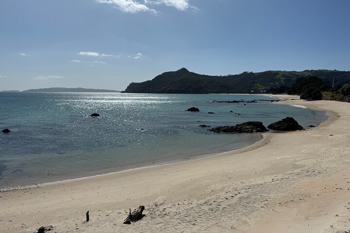 2 Days Private Tour in Coromandel Peninsula from Hamilton