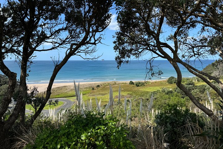 2 Days Private Tour in Coromandel Peninsula from Hamilton