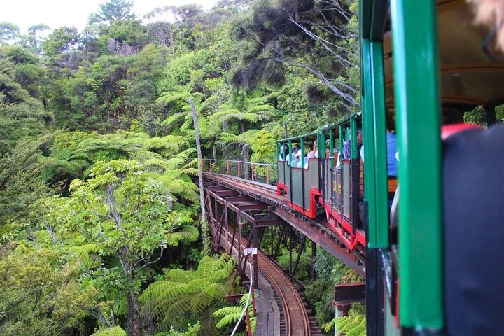 2 Days Private Tour in Coromandel Peninsula from Hamilton
