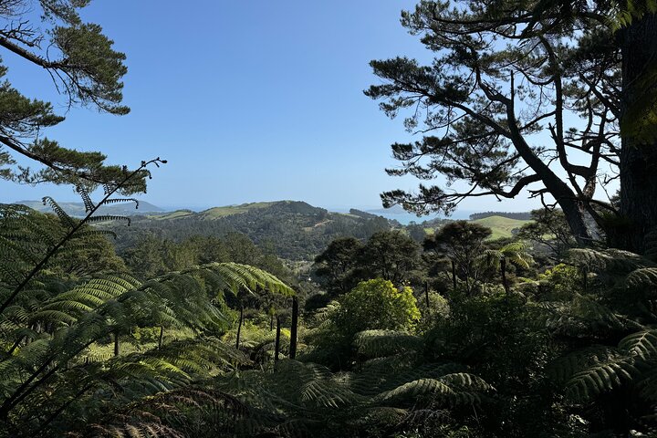 2 Days Private Tour in Coromandel Peninsula from Hamilton