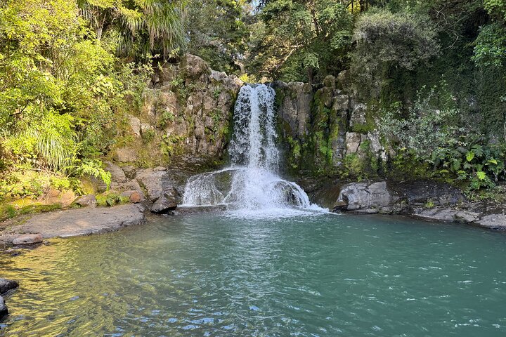 2 Days Private Tour in Coromandel Peninsula from Hamilton