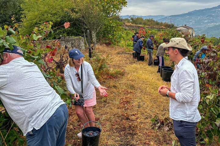 Best of the Douro in a Day: Boat, Wine and Family Lunch