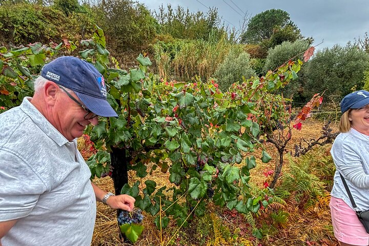 Best of the Douro in a Day: Boat, Wine and Family Lunch