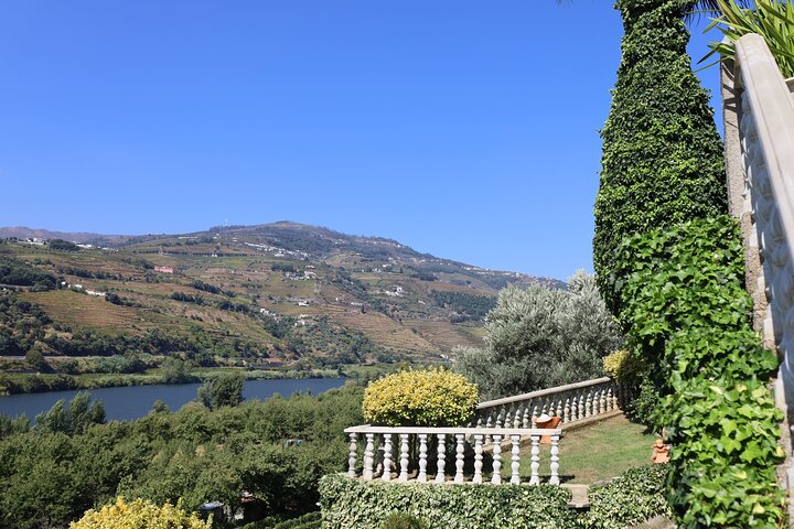 Best of the Douro in a Day: Boat, Wine and Family Lunch