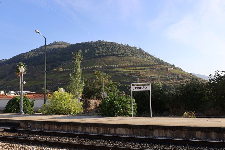 Best of the Douro in a Day: Boat, Wine and Family Lunch