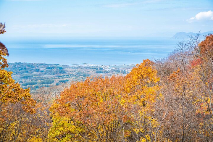 Hike Mt. Usu and visit Lake Toya Day Tour