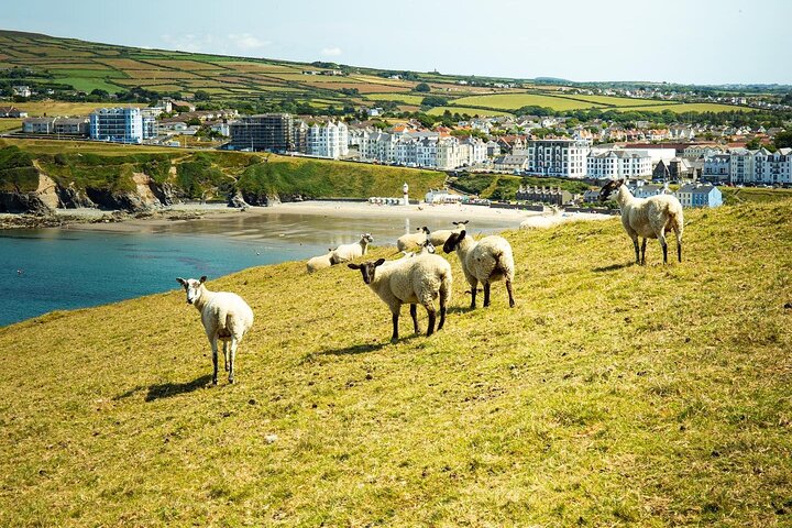 Southern Manxland Tour of Isle of Man 1-6 person upto 30 person