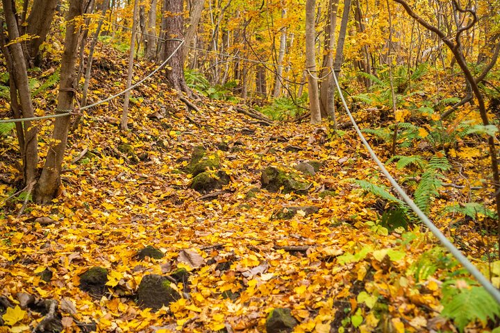 Hike Mt. Usu and visit Lake Toya Day Tour
