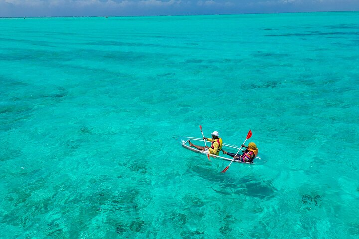 Private/Sharing: Explore Mnemba Island with a dhow
