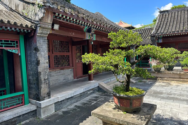 From Hong kong to Shenzhen tour with Flexible Itinerary / English