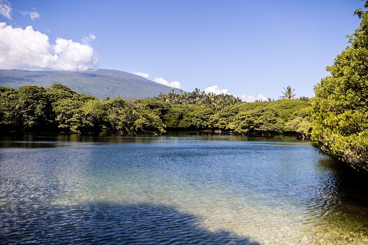 Private Full Day Southern Cross Tour