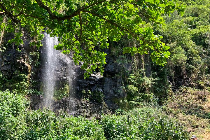 Private and Guided Day Tour of Reunion Island