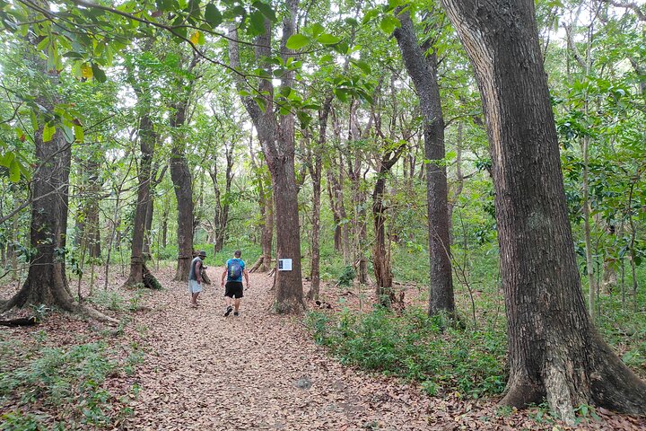 Fiji Adventure: Biausevu Waterfall & Dunes hiking Combo Tour!