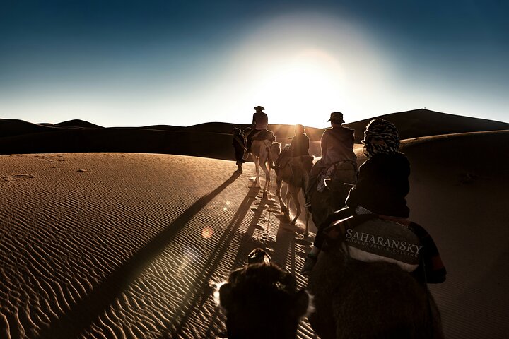 Camel & Quad Combo In Douz Sahara Desert