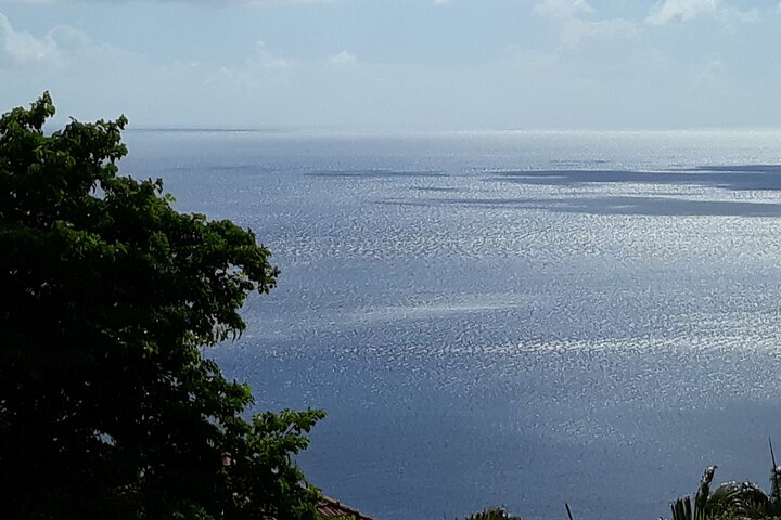 Private excursions à la carte in Martinique