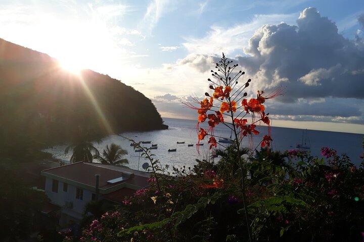 Private excursions à la carte in Martinique