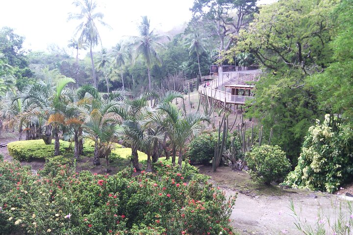 Private excursions à la carte in Martinique