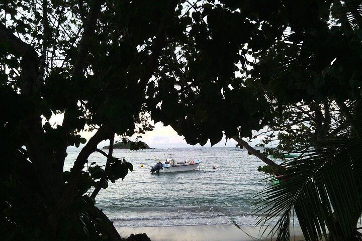Private excursions à la carte in Martinique