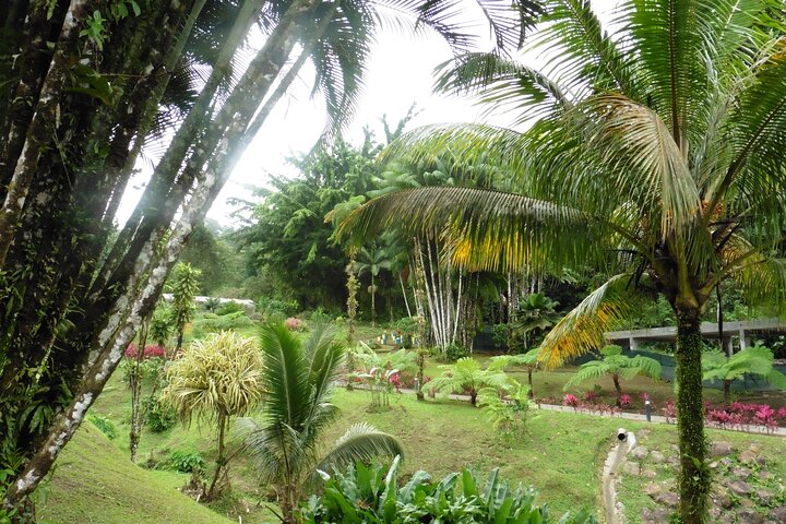 Private excursions à la carte in Martinique