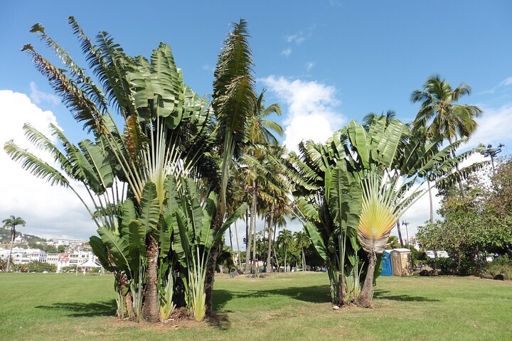 Private excursions à la carte in Martinique