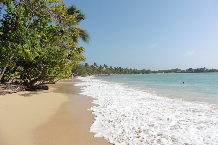 Private excursions à la carte in Martinique