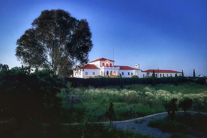Magical Moment at the Chapel – Affordable Romantic Experience