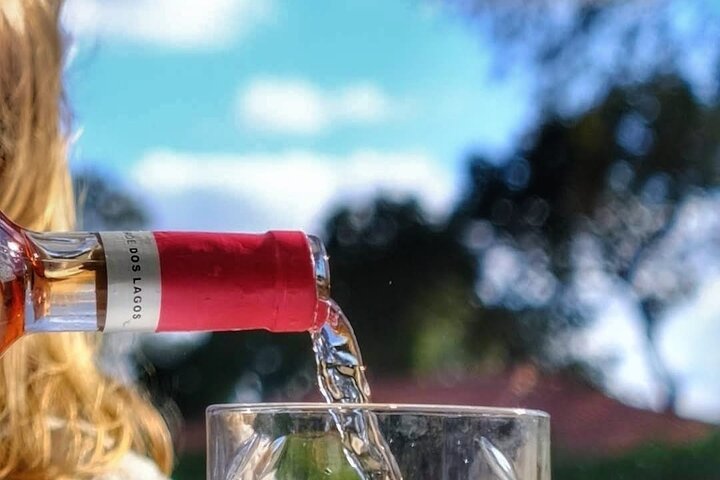 Mértola Alentejo Wine Tasting w/ Local Wines & Regional Petiscos