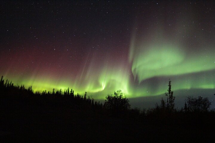 Yellowknife Aurora Hunting Tours by Bus