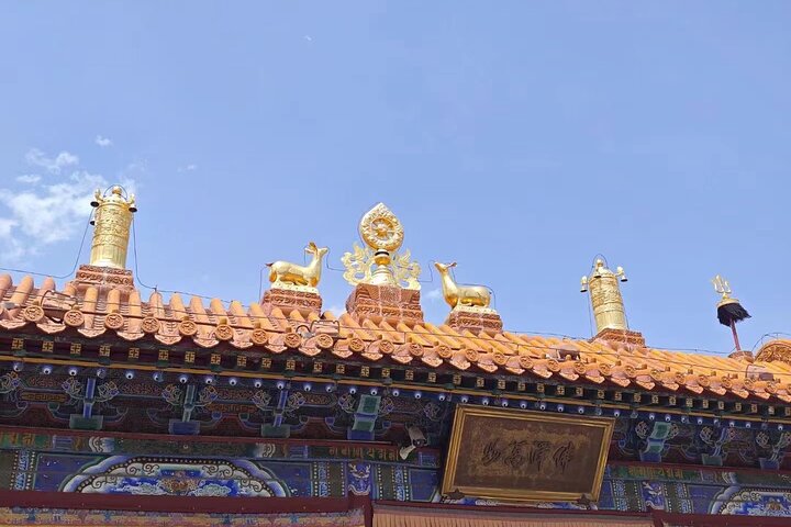 Full-Day Private Guided Tour in Hohhot with Lunch