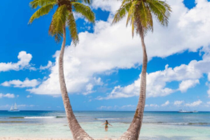 From Santo Domingo Saona Island Food And Drink Catamaran Vip
