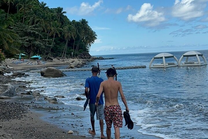 Spearfishing Experience