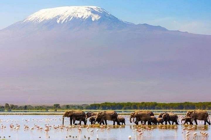 2 Days 1 Night tour to the Amboseli National Park.