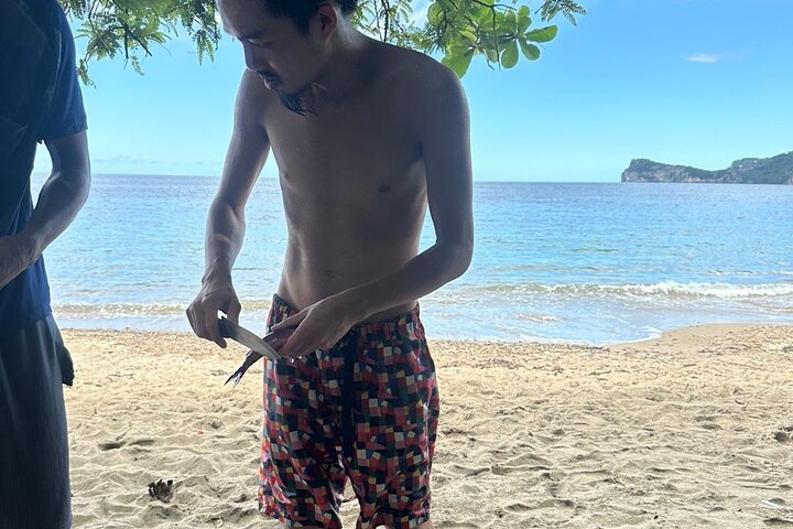 Spearfishing Experience