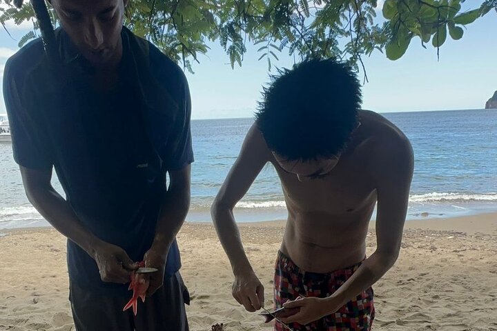 Spearfishing Experience