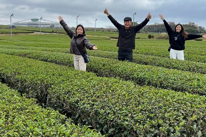 Full Day 12 hours whole Jeju Island private flexible tour