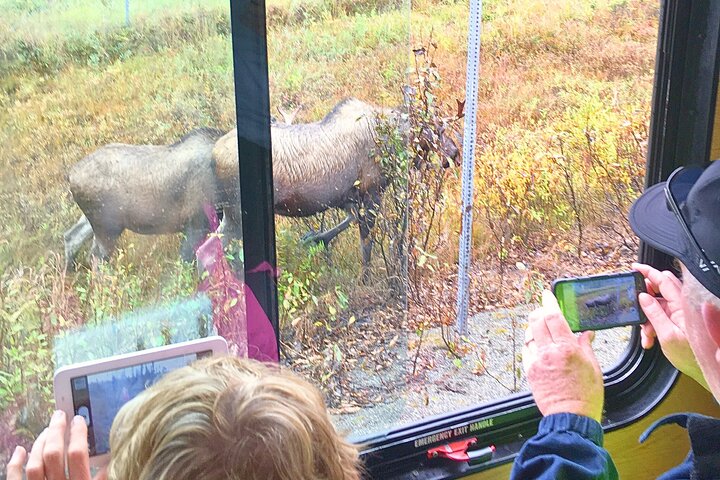 Anchorage Trolley's 1-Hour City Tour