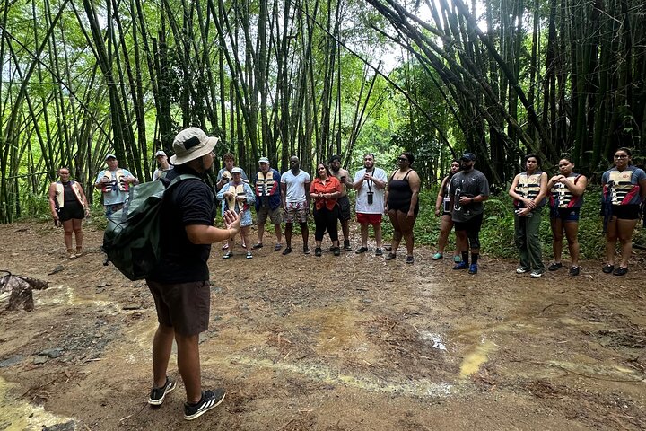 Immersive El Yunque Rainforest Adventure with Transportation