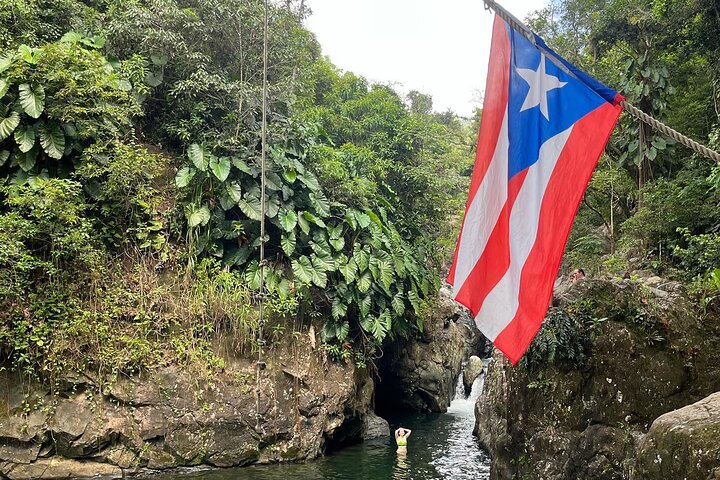 Immersive El Yunque Rainforest Adventure with Transportation