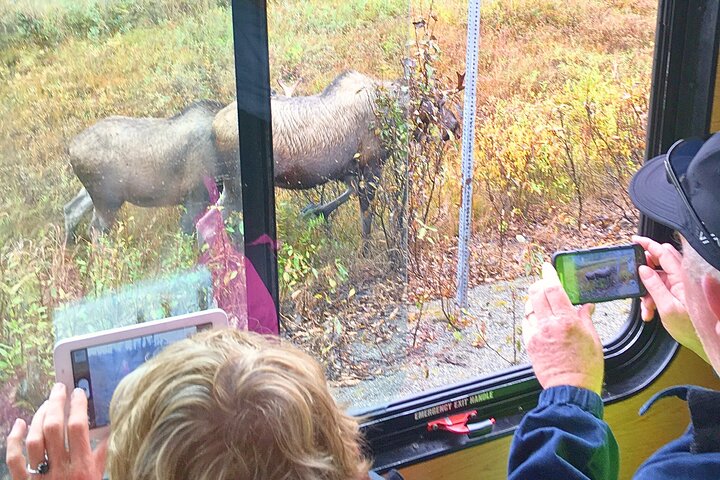Anchorage Trolley's Deluxe City Tour