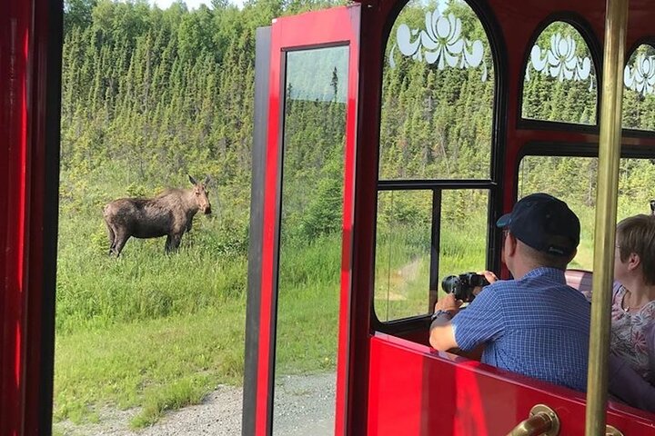 Anchorage Trolley's Deluxe City Tour
