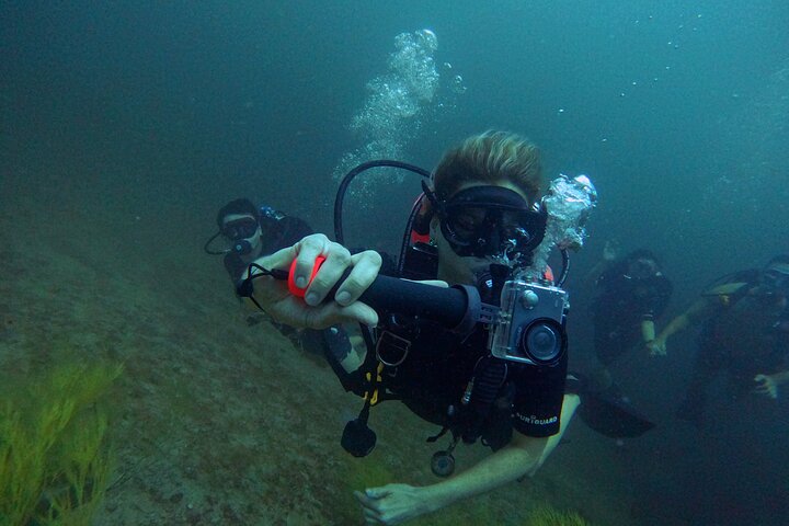 2 Dives in Oman, Dibba Musandam for certified divers