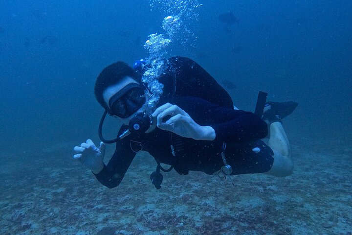 2 Dives in Oman, Dibba Musandam for certified divers